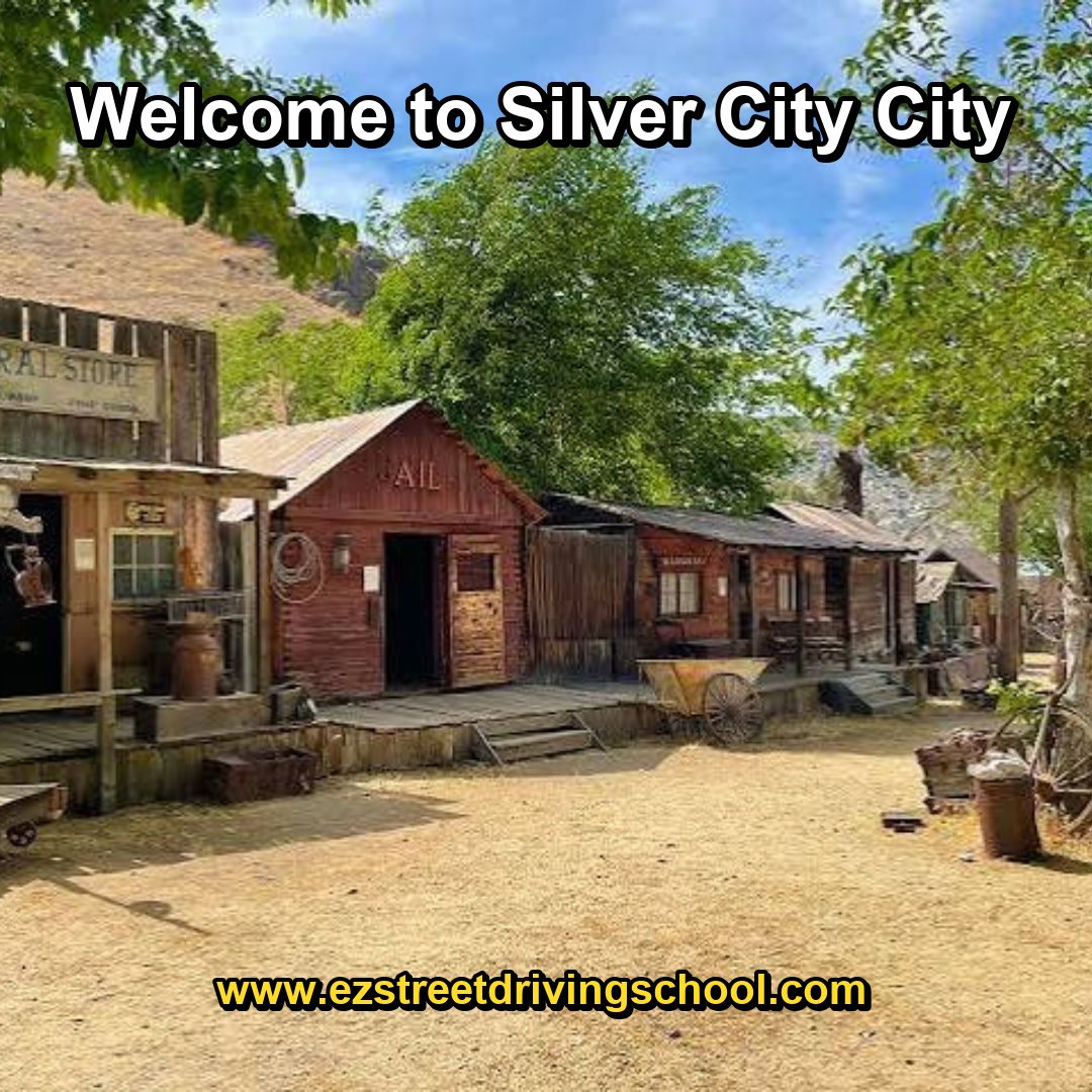 Driving Lessons in Silver City